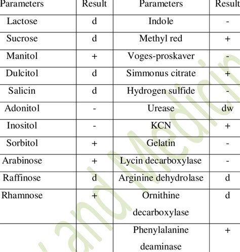citrobacter freundii biochemical tests|2 Biochemical and Serological Characterization of Citrobacter.